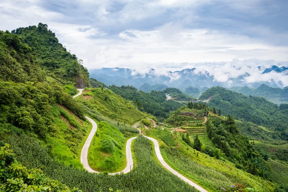 Drive the panoramic Hà Giang Loop
