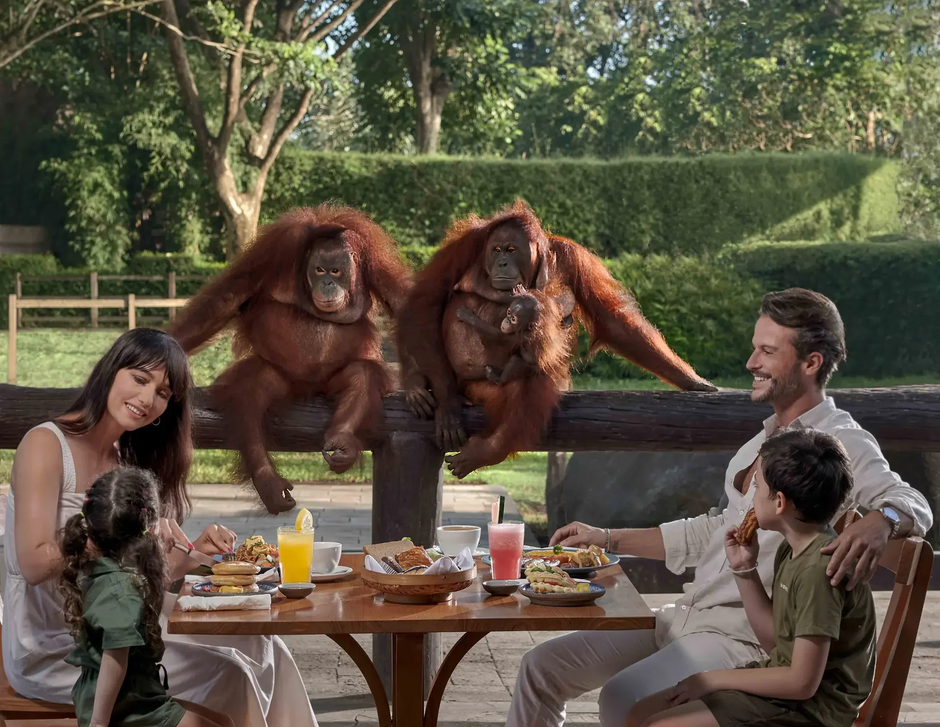Have Breakfast with Orangutans at Bali Zoo