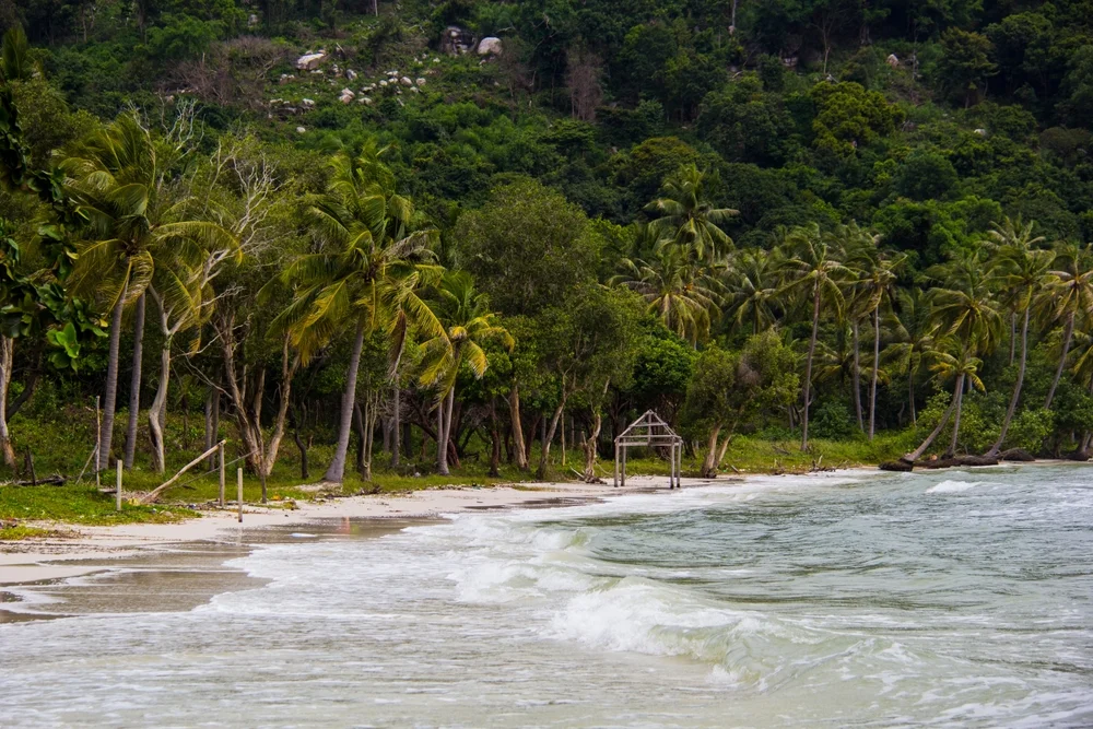 Jungle Beach
