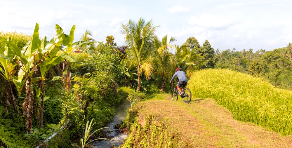Mountain Biking in Bali
