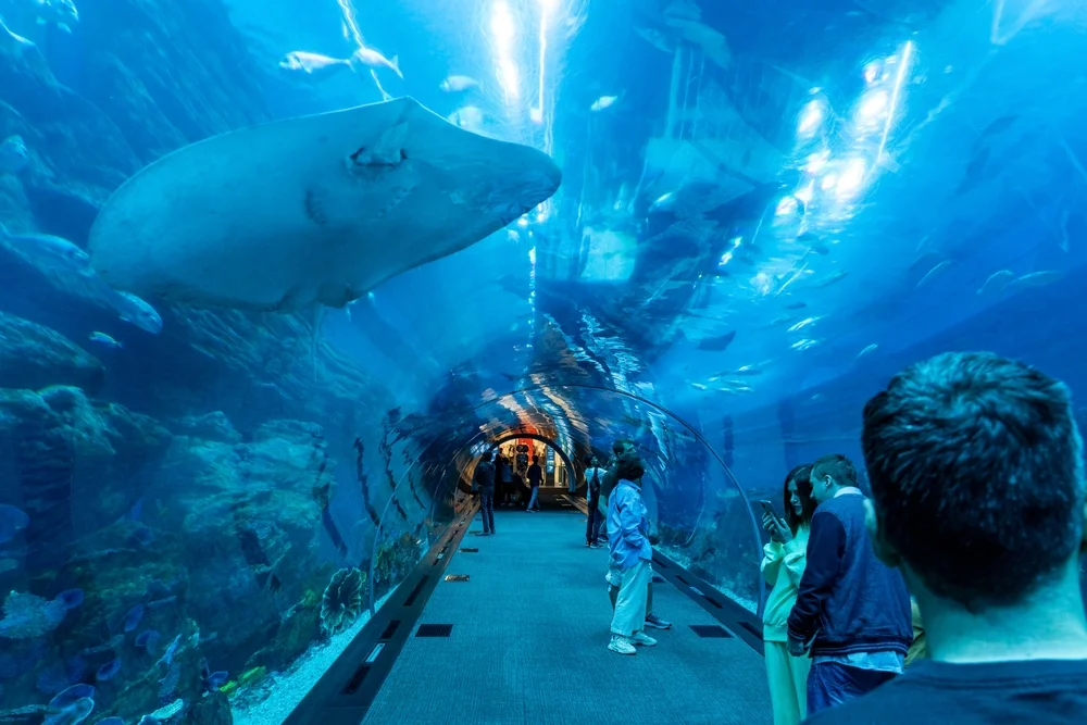 Dubai Aquarium & Underwater Zoo