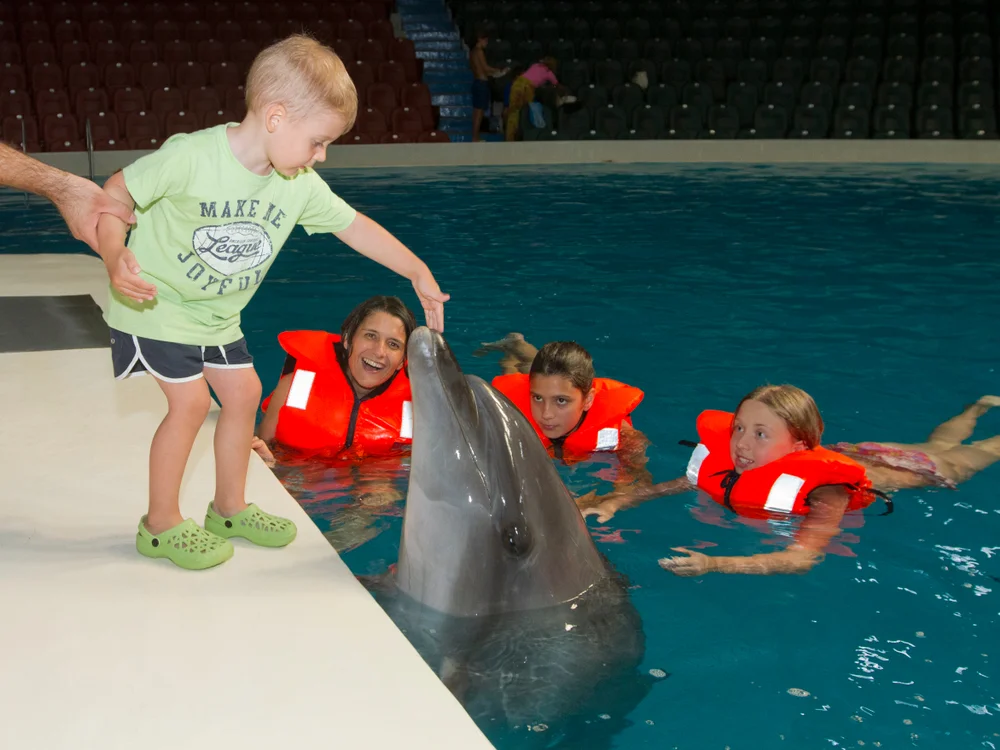  Dubai Dolphinarium
