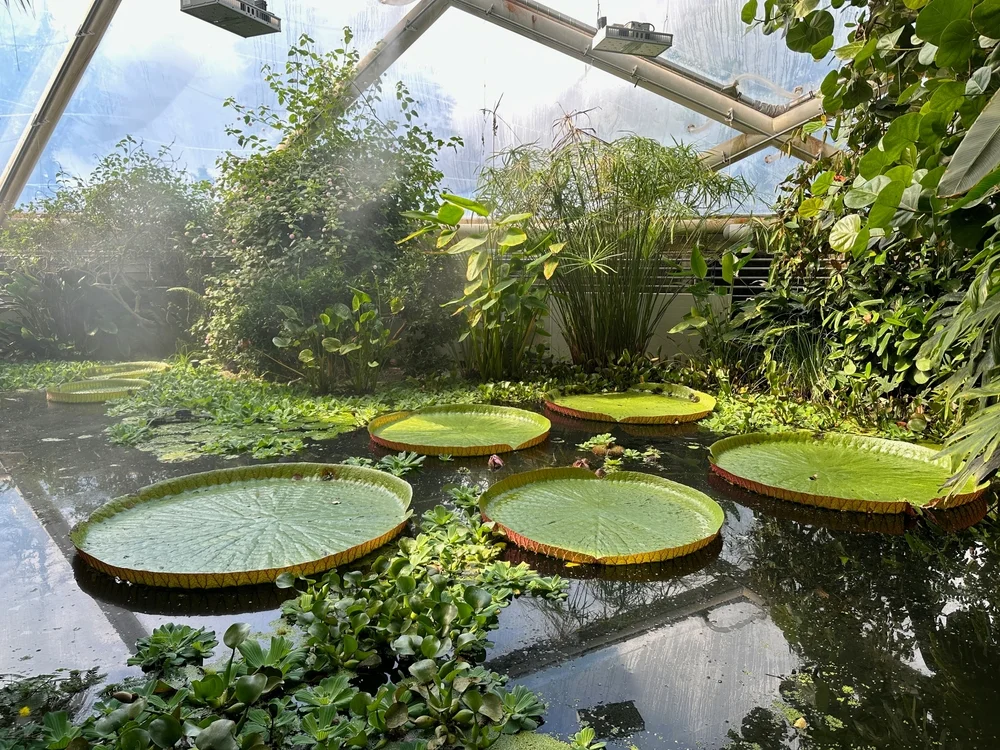 Aarhus Botanical Garden