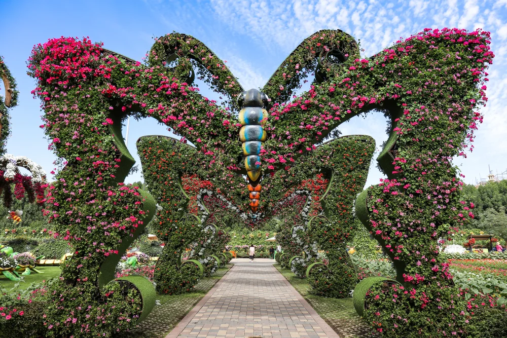 Walk among butterflies at Dubai Butterfly Garden