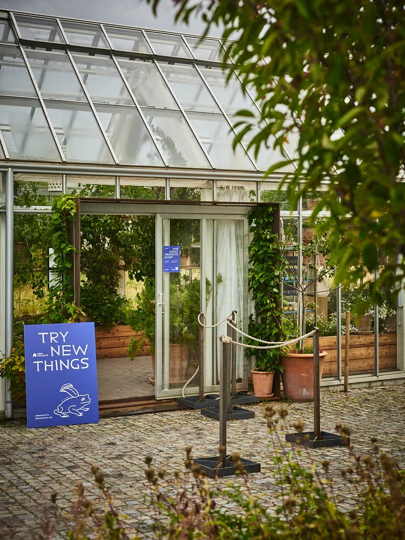 Noma