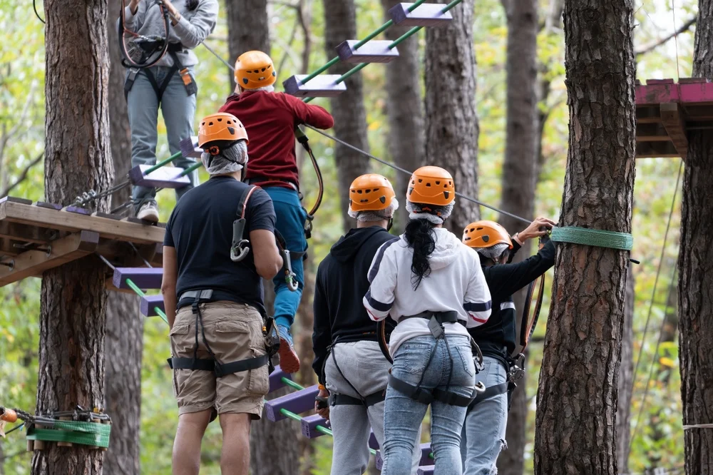 Go zip-lining or treetop climbing in Camp Adventure