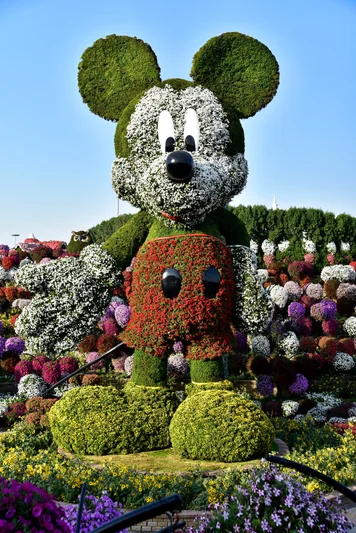 Disney Avenue