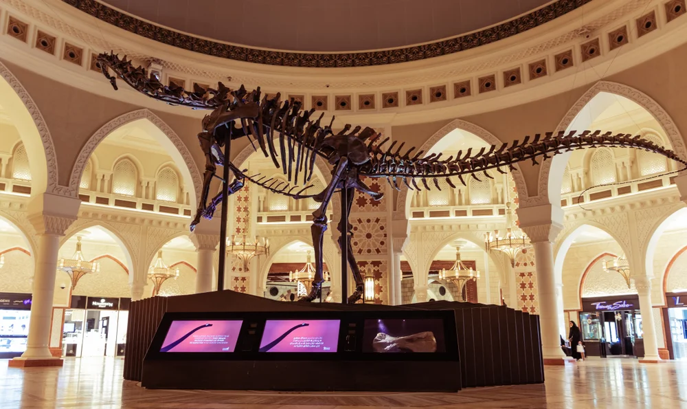 Journey Back in Time with Dubai Dino