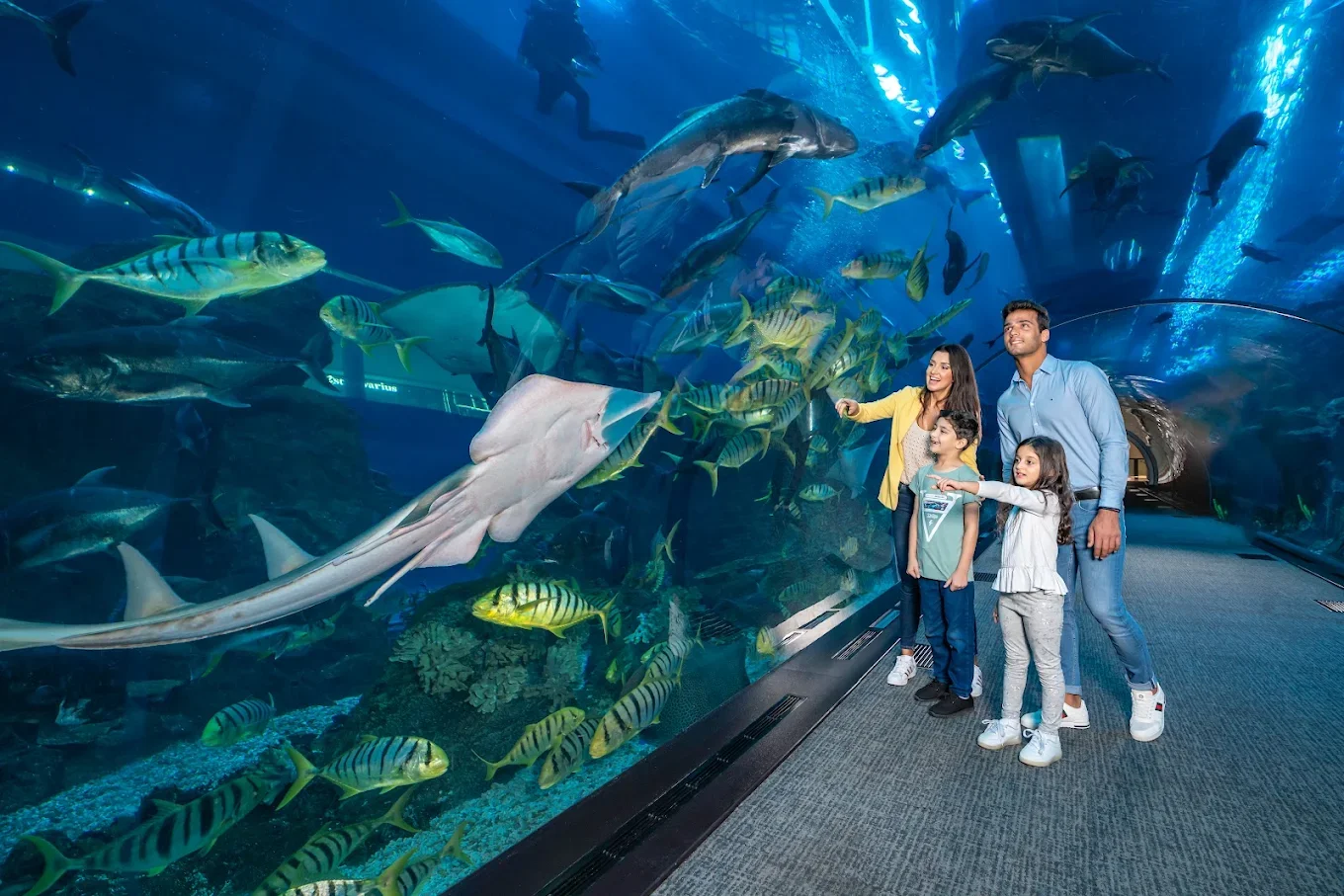 Go to Dubai Mall Aquarium & Underwater Zoo