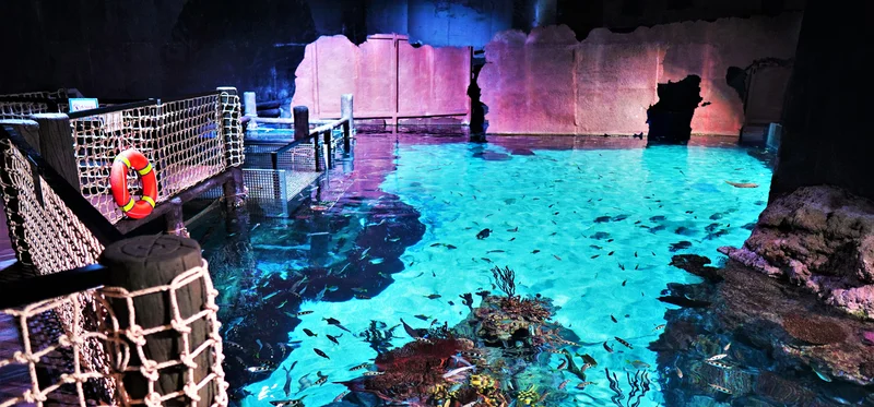 Zone 6 - Stingray Bay