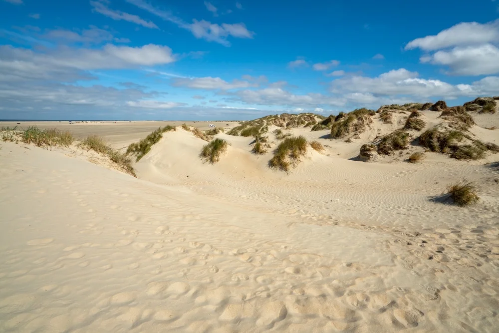 Climb sand dunes at Råbjerg Mile