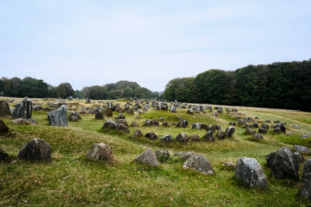 Explore Viking burial grounds at Lindholm Høje Museum