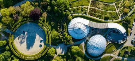 Picnic in the Aarhus Botanical Garden