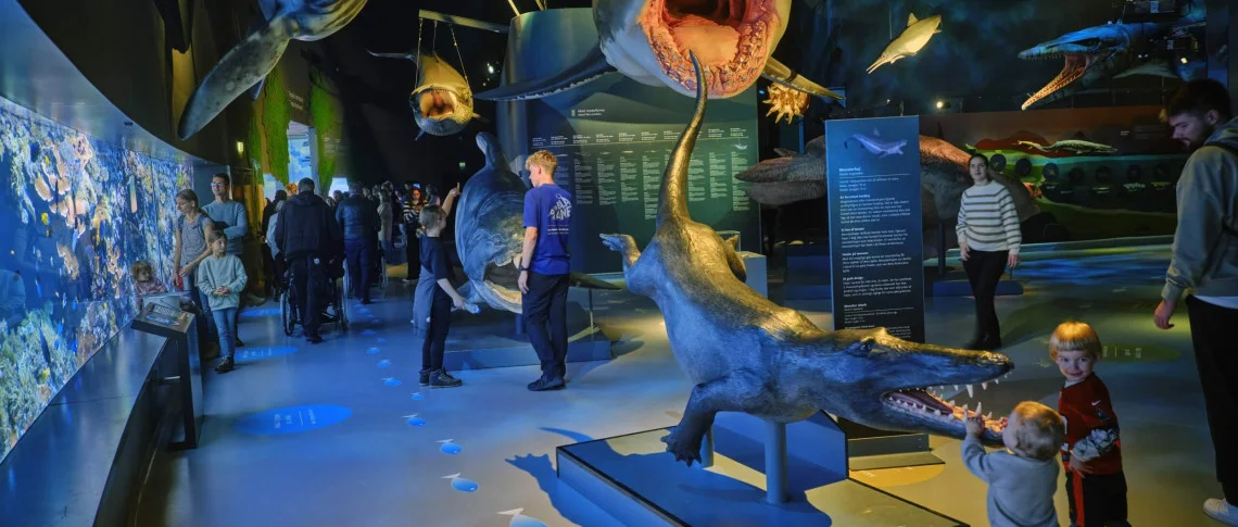Visit marine life at The Blue Planet Aquarium