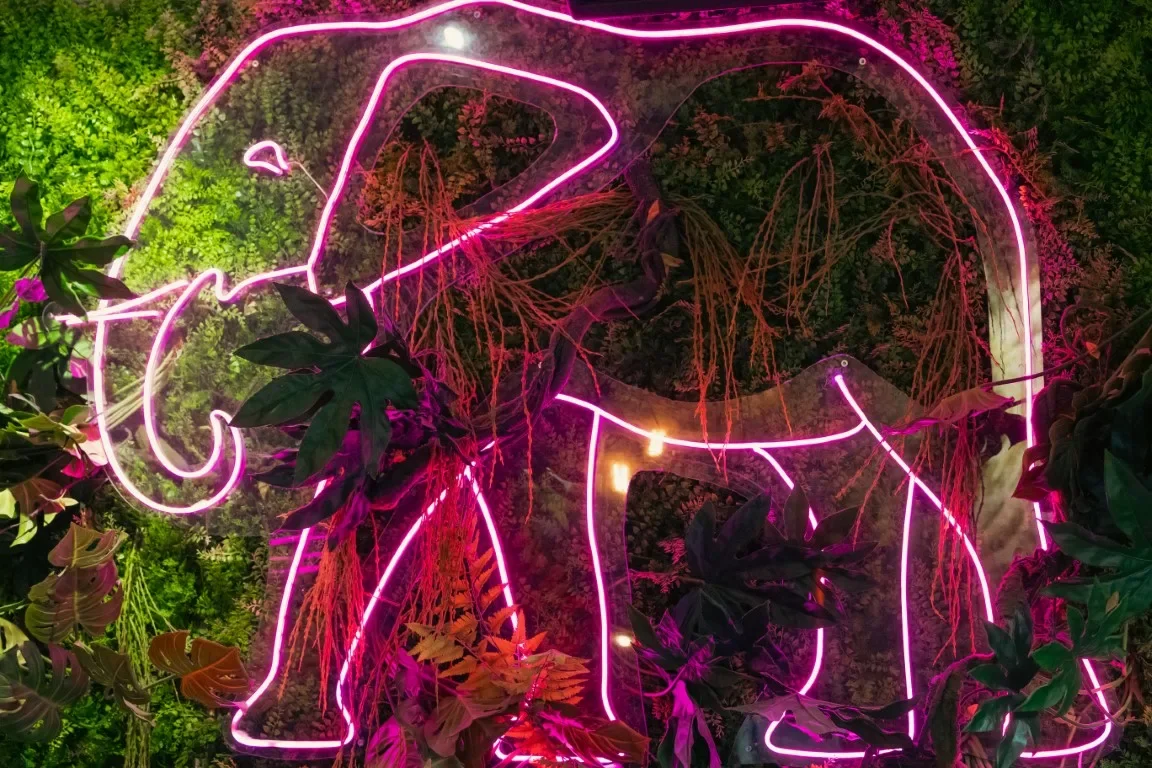 The Elephant