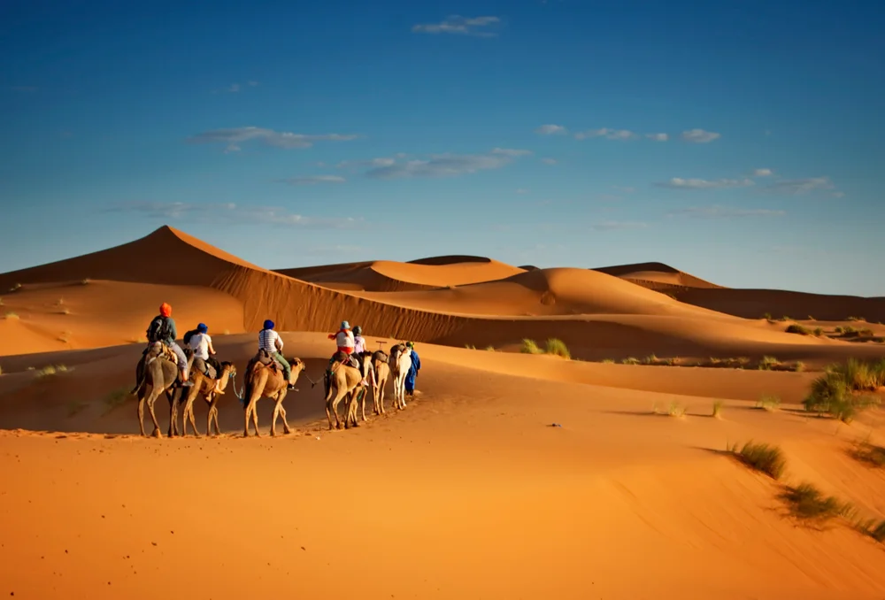 Best Time to Visit Desert Safari in Dubai