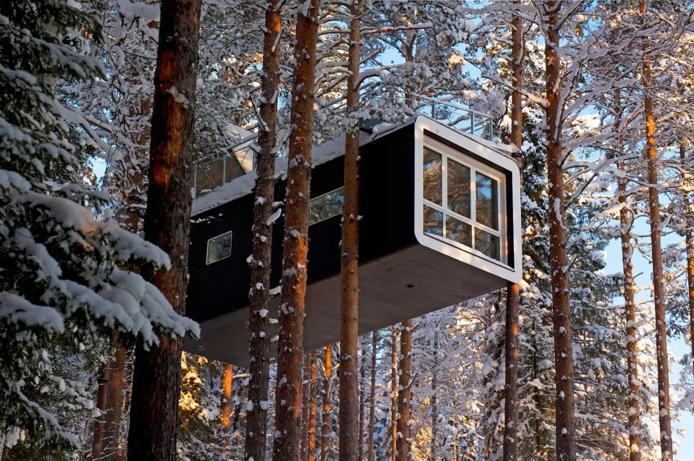 Stay among the treetops at Treehotel in Harads