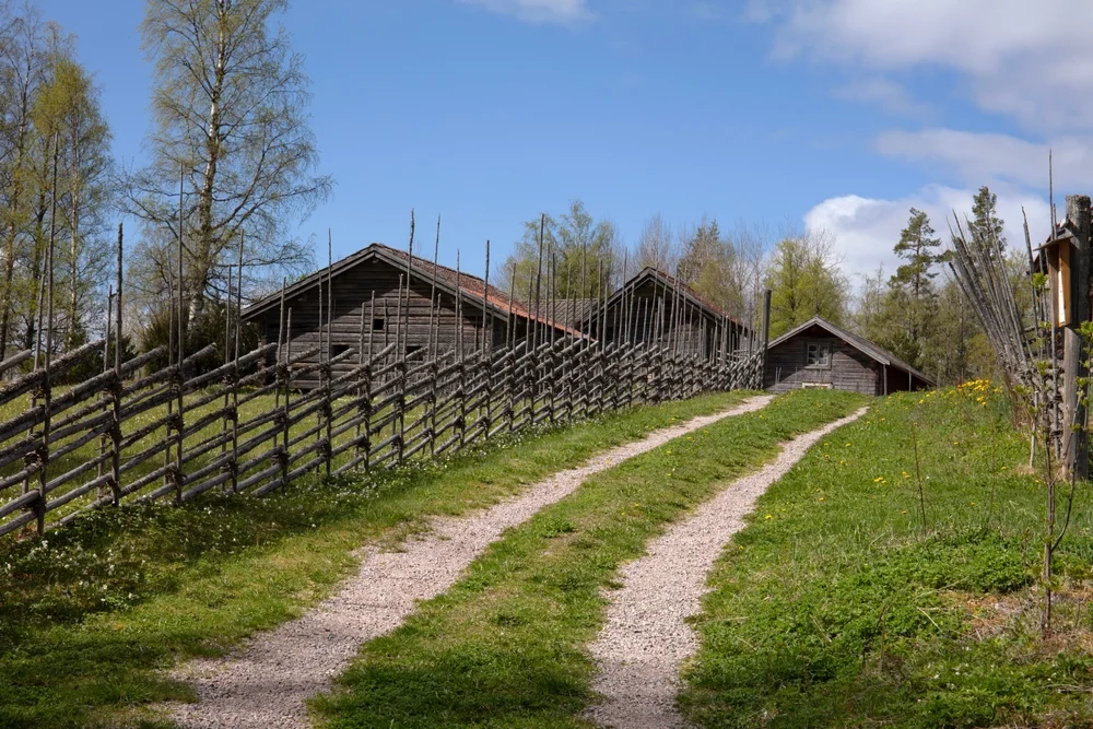 Celebrate Midsummer in Leksand