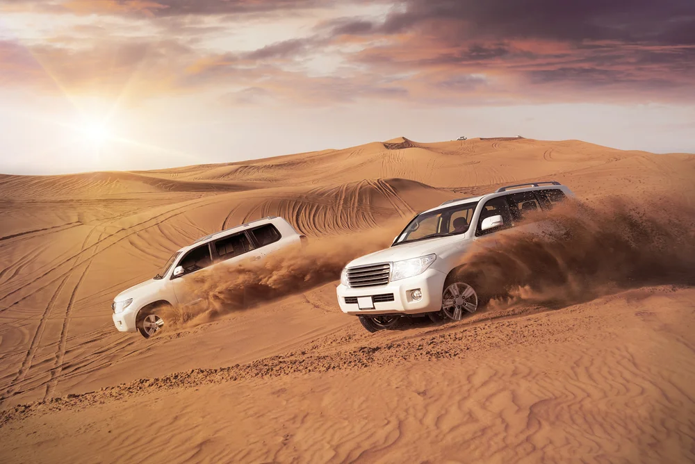 Evening Desert Safari