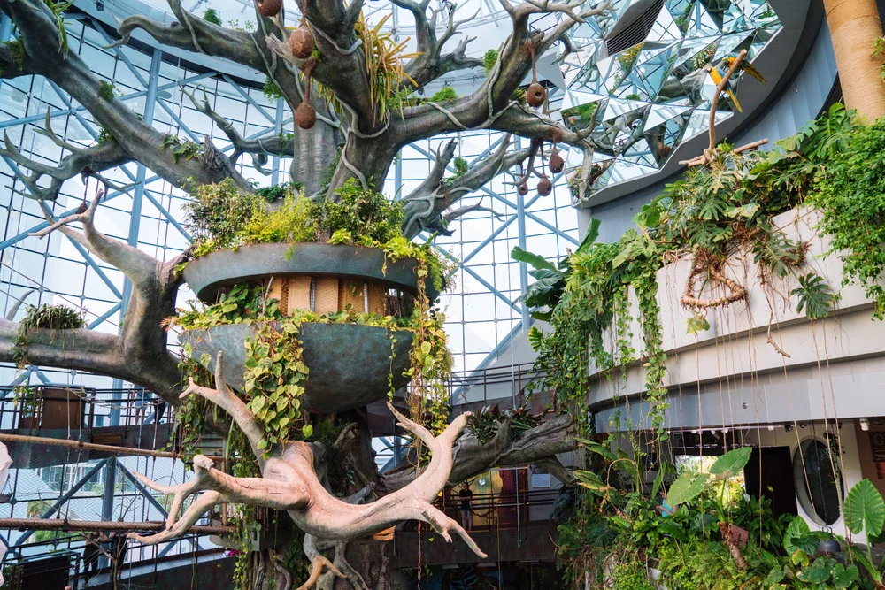 Explore a rainforest indoors at The Green Planet