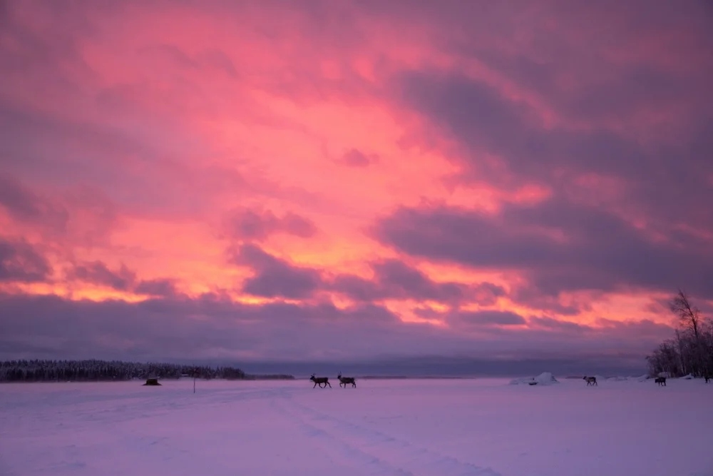 Luleå Archipelago (ice roads)