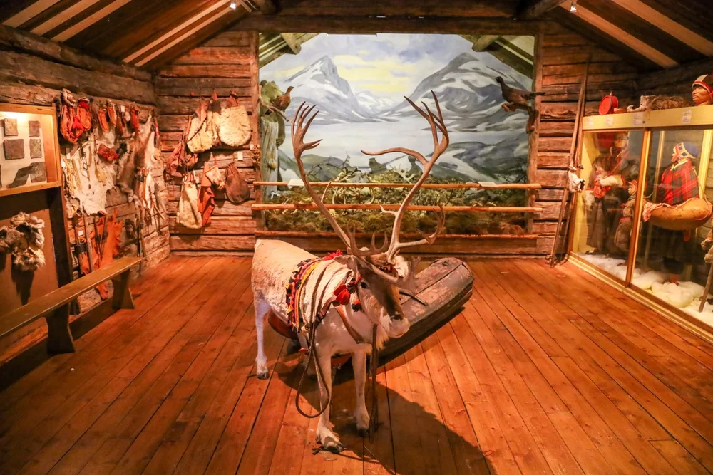 Visit a traditional Sámi village