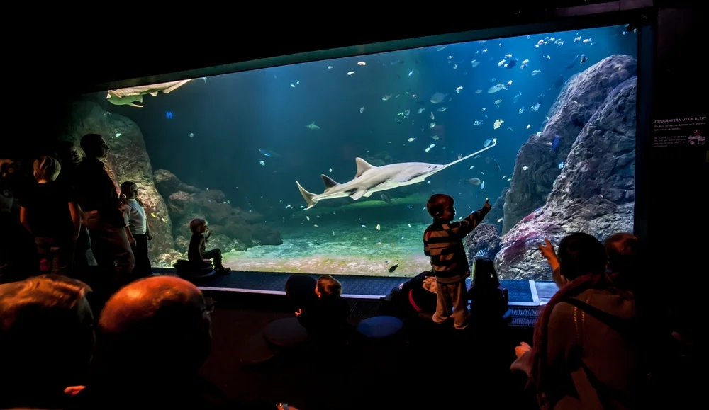 Explore underwater worlds at Universeum