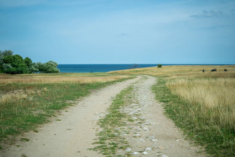 Cycle the coastal roads of Österlen