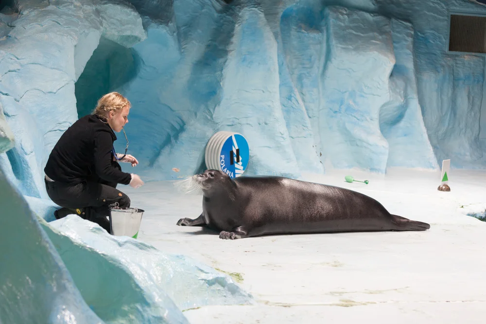 Polaria Arctic Aquarium