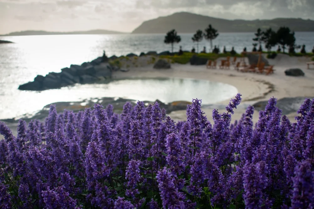 Flor & Fjære Gardens