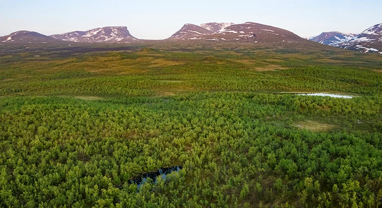 Abisko National Park: Lapland