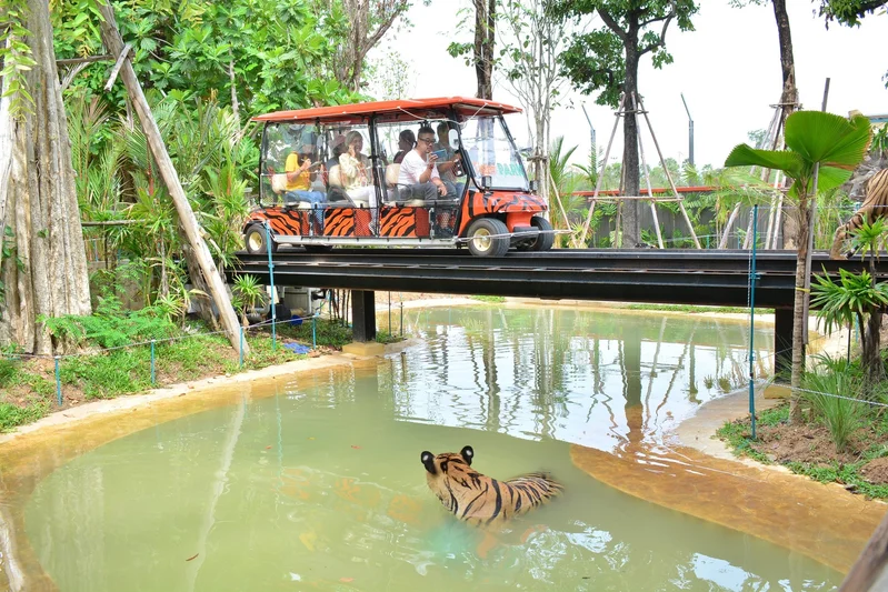 Forest Safari Ride