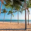 Banner img