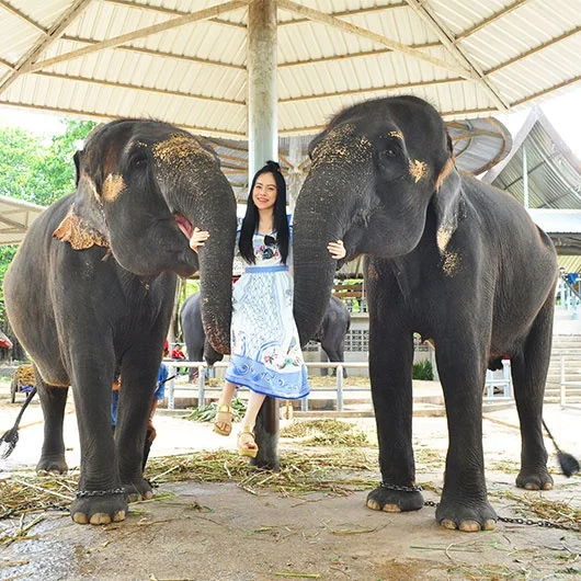 Playing with Elephants