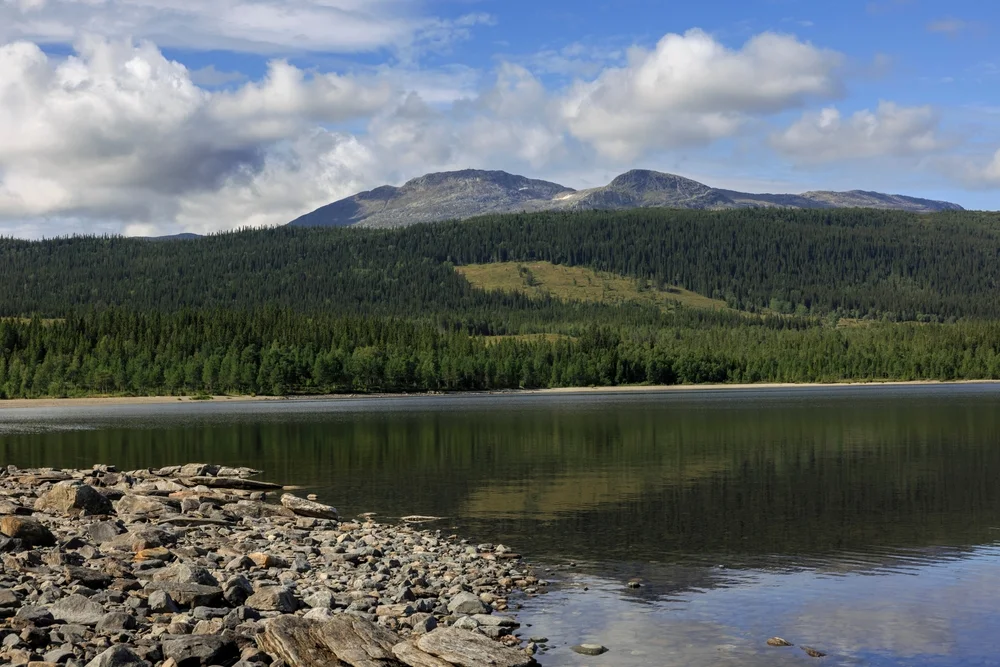 Kallsjön