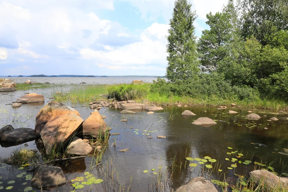 Åsnen