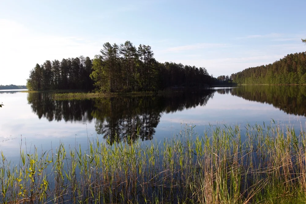 Pihlajavesi