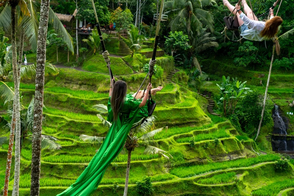 Swing at My Swing With Indonesian Lunch & Private Transfers