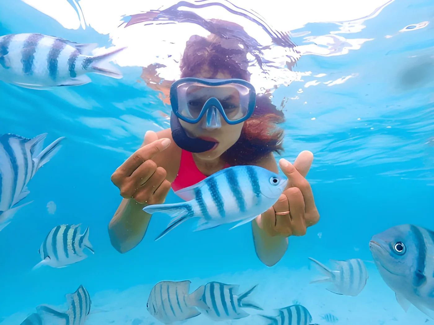 2 Hours Snorkeling at Gili Trawangan with Spot points at Romantic Statues, Blue Coral and undersea Vesva