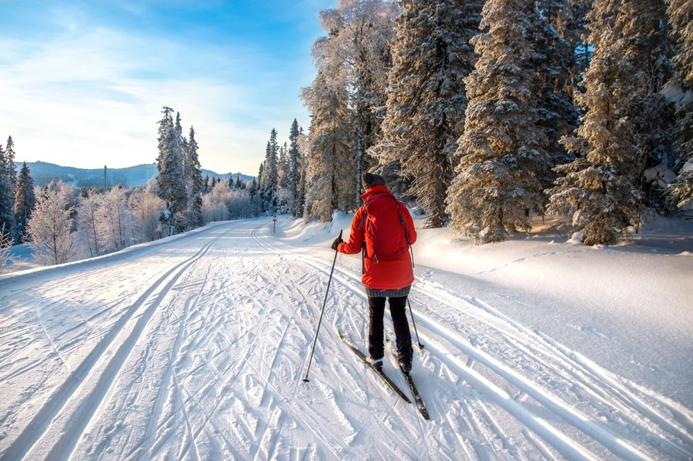 Cross-country skiing (nationwide resorts)