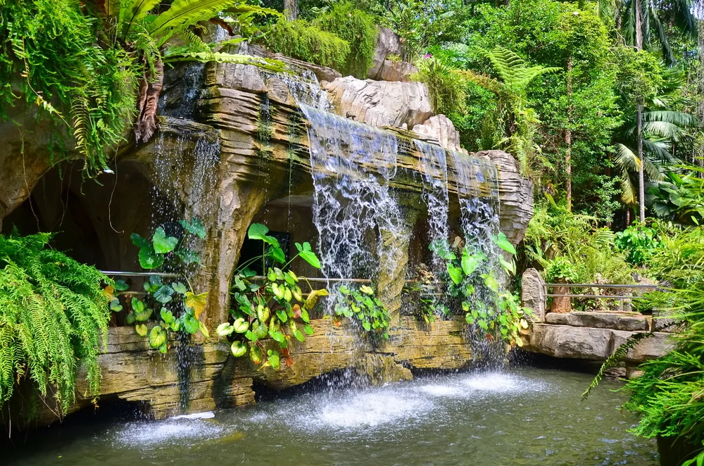 Stroll at Botanical Garden