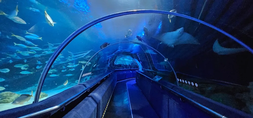 Go to Aquaria KLCC