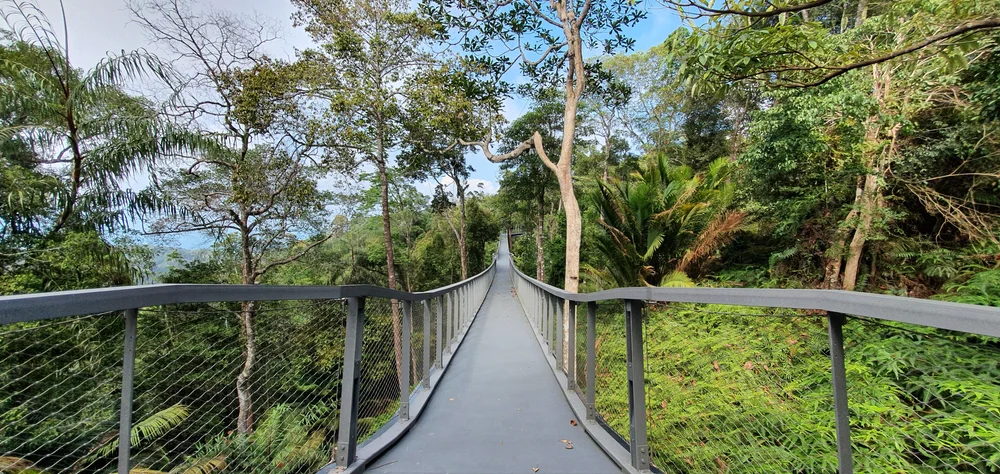 Penang National Park