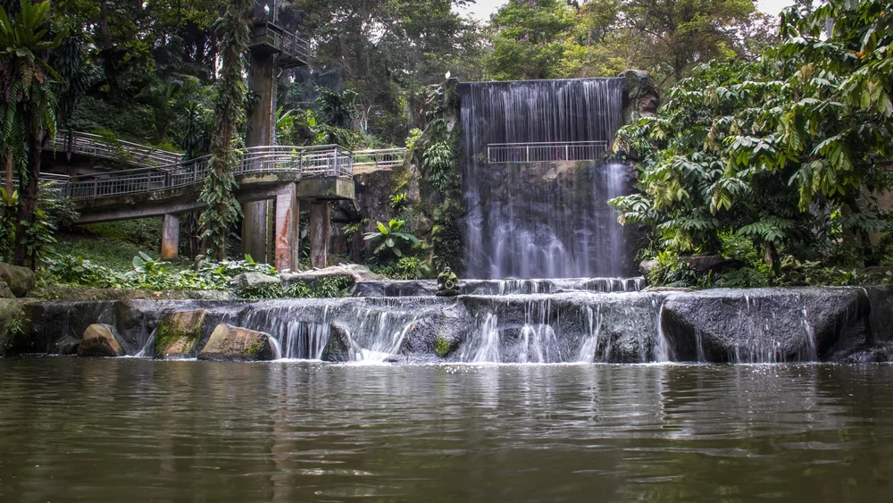 Kuala Lumpur Bird Park