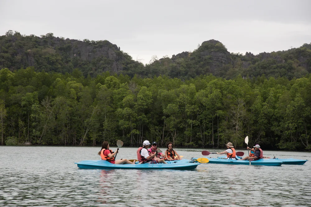 Mangrove Kayaking Safari