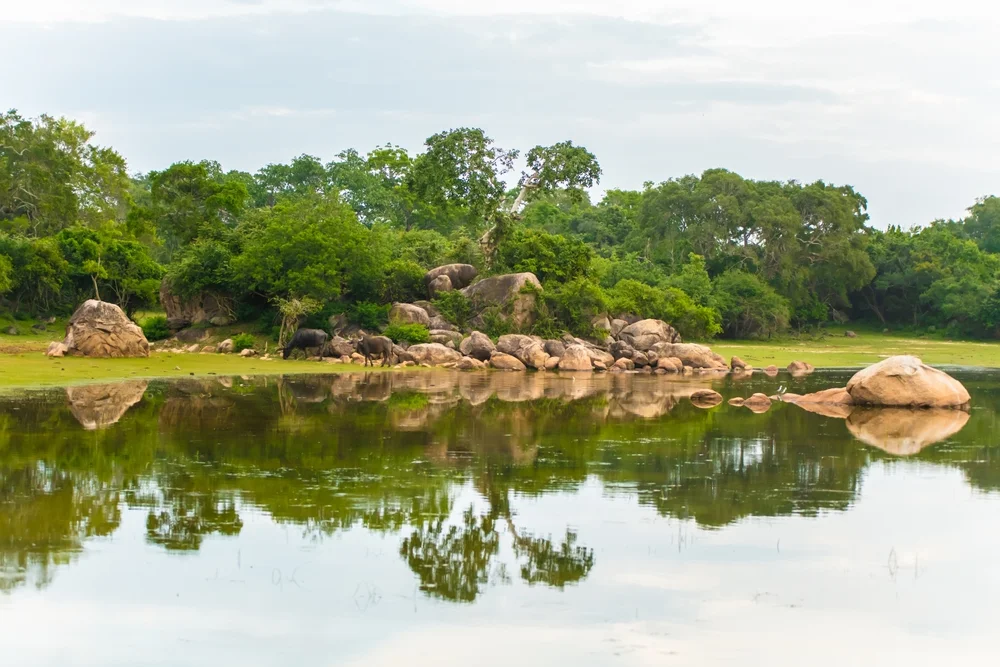 Kumana National Park