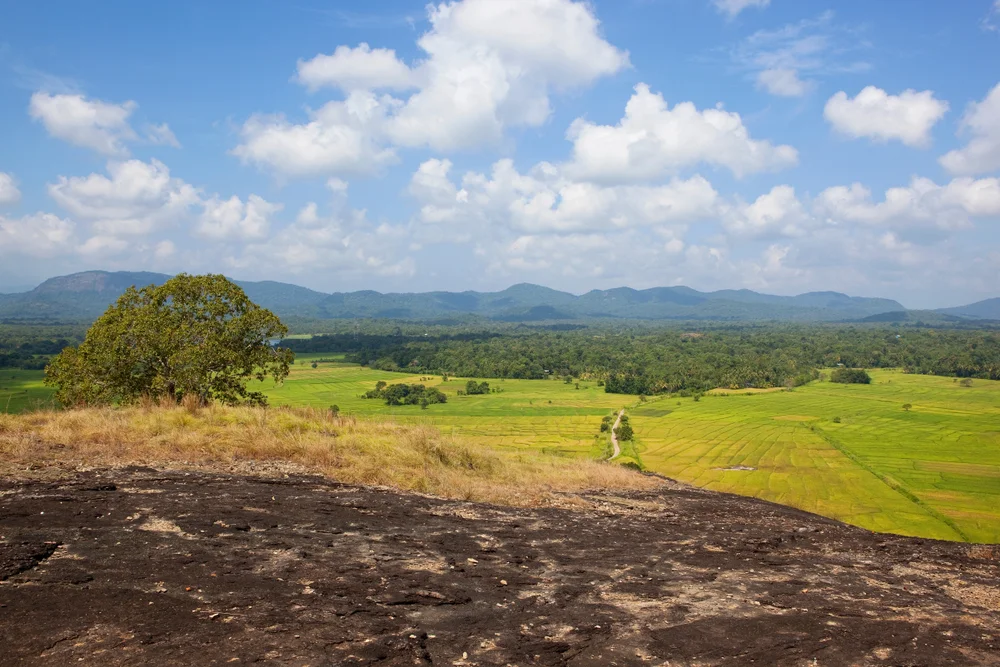 Wasgamuwa National Park