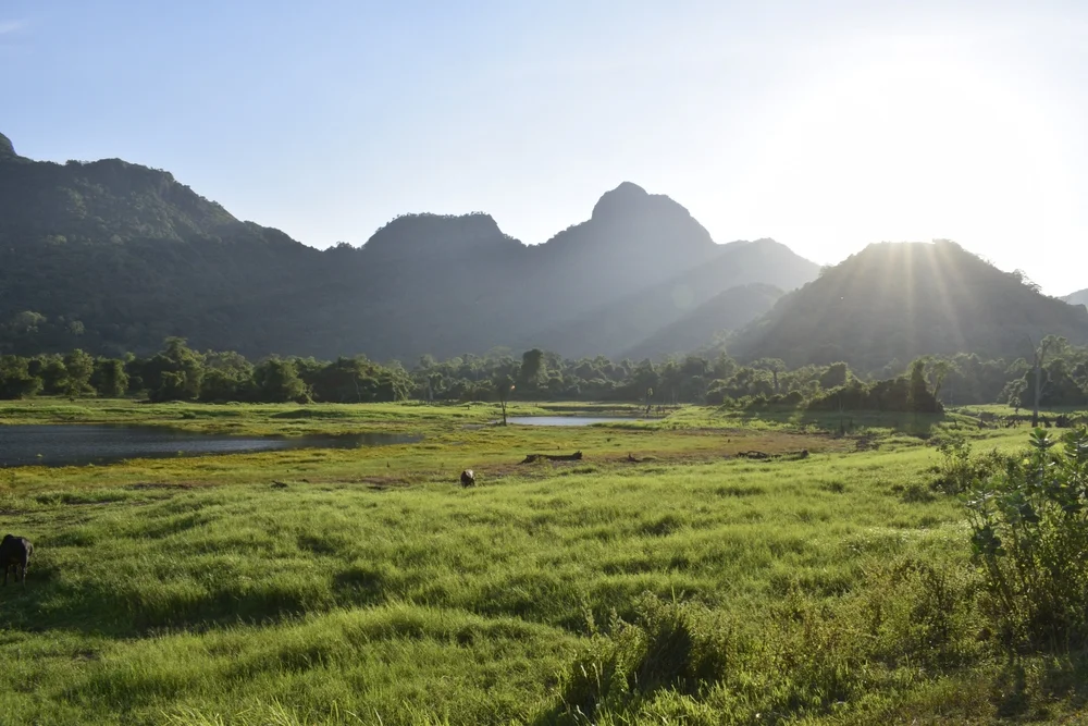 Gal Oya National Park