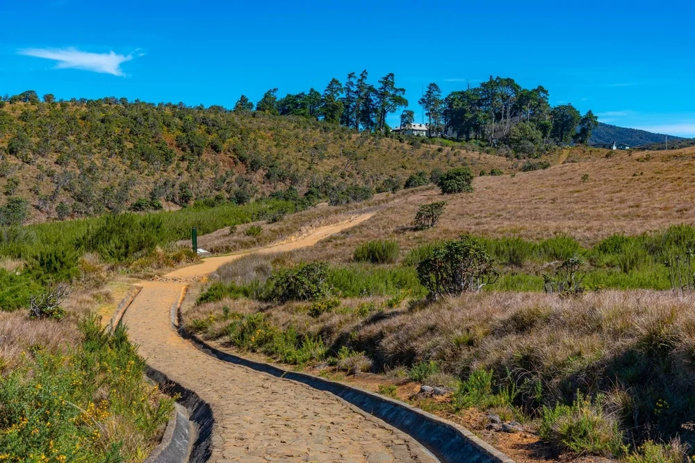 Horton Plains National Park 