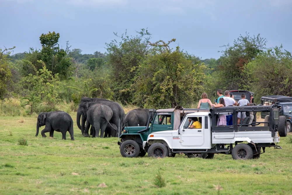 Habarana Safaris